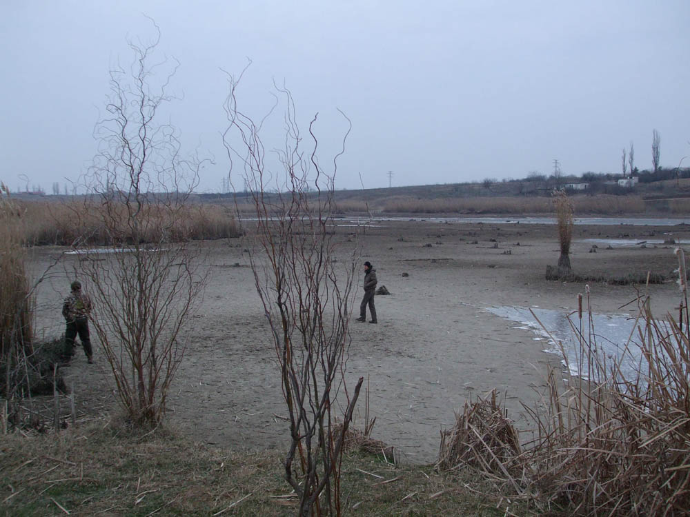 TANCABESTI SECAT - DSCF3451.jpg